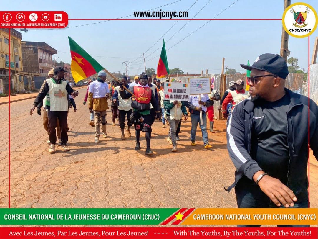 Special Plan for the Promotion of Youth Employment gallery image 3